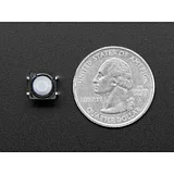 Soft Tactile Button (8mm) x 10 - Image 6