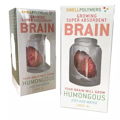 Extra Large Swell Polymer Brain