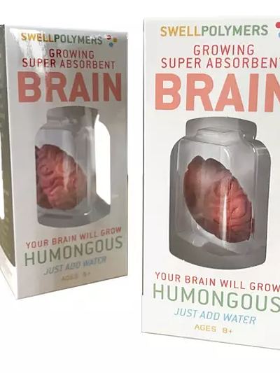 Extra Large Swell Polymer Brain