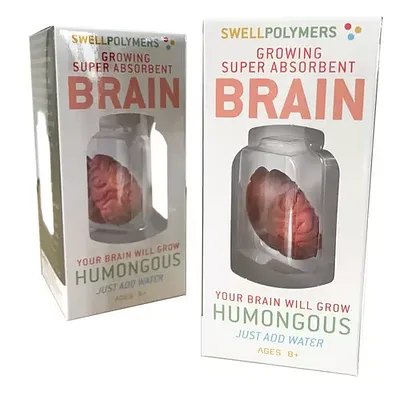 Extra Large Swell Polymer Brain