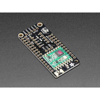 Adafruit Radio FeatherWing - RFM69HCW 433MHz