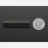 0.1 2x20-pin Strip Right Angle Female Header - Image 5
