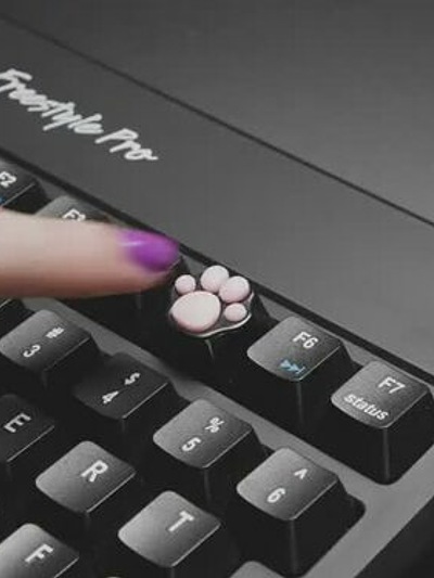 Black Aluminum Kitty Paw Keycap with Pink Silicone Toes