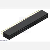 0.100 (2.54 mm) Female Header: 2x20-Pin, Straight - Image 2