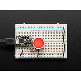 Diffused Red and Green Indicator LED - 18mm Round - Image 1