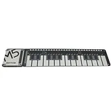 Acrylic Piano Board with RGB LED - Image 2
