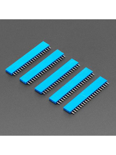 20-pin 0.1 Female Header - Blue - 5 pack