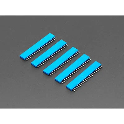 20-pin 0.1 Female Header - Blue - 5 pack