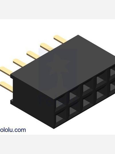 0.100 (2.54 mm) Female Header: 2x5-Pin, Straight