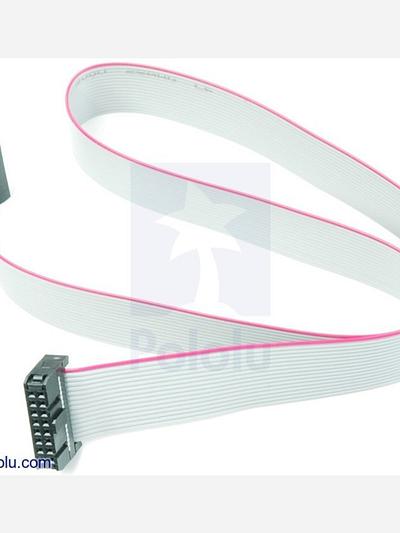 16-Conductor Ribbon Cable with IDC Connectors 20"