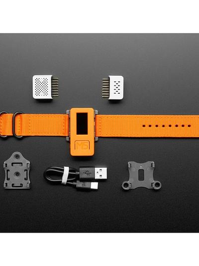 M5Stick-C IoT Development Kit with 2 Sensors + Watch Accessories