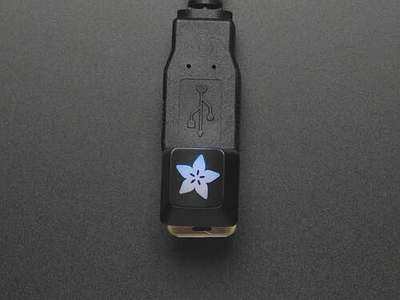 Adafruit Etched R4 Keycap for MX Compatible Switches