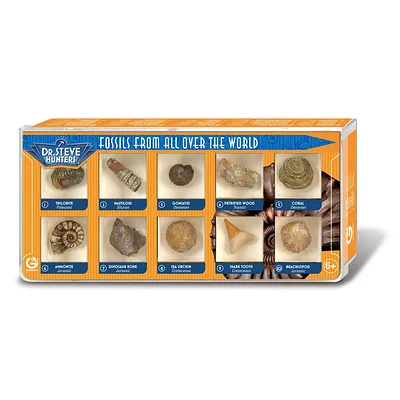 GEOWorld Fossils from All Over the World - 10 Fossils