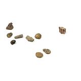 GEOWorld Fossils from All Over the World - 10 Fossils - Image 2