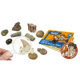 GEOWorld Fossils from All Over the World - 10 Fossils - Image 3