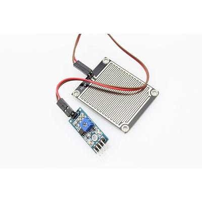 Rain/Steam Sensor