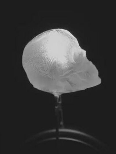 dLUX-dLITE Cool White Skull Shape LEDs 5 Pack by Unexpected Labs