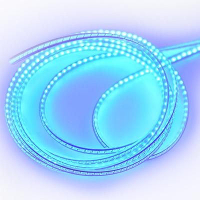 Flexible LED Filament (24V 1200mm, Blue)