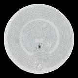 RFID Tag - Adhesive MIFARE Classic® 1K (13.56 MHz) - Image 1