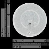 RFID Tag - Adhesive MIFARE Classic® 1K (13.56 MHz) - Image 2