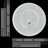 RFID Tag - Adhesive MIFARE Classic® 1K (13.56 MHz) - Image 2
