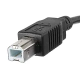 USB Cable A to B - 6 Foot - Image 2