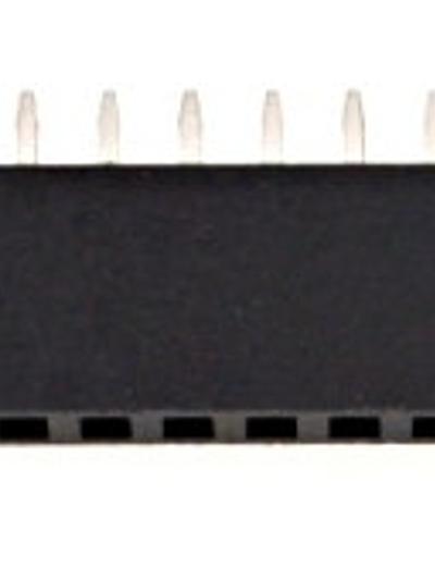 24-Pin Female Header Socket - 2.54mm Pitch
