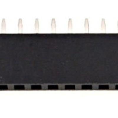 24-Pin Female Header Socket - 2.54mm Pitch