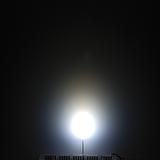 Diffused LED - White 10mm - Image 2