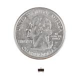 P-Channel MOSFET 30V 3.8A - DMP3099L-7 - Image 4