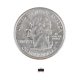 P-Channel MOSFET 30V 3.8A - DMP3099L-7 - Image 4