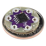 LilyTiny - Image 2