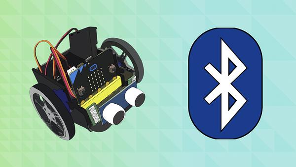 Bluetooth Controller with Bird Bot