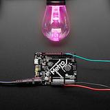 NeoPixel RGB Cafe/Patio Light Bulb Strand - 20 Bulbs - Image 1