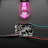NeoPixel RGB Cafe/Patio Light Bulb Strand - 20 Bulbs - Image 1