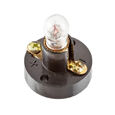 E10 Screw Bulb and Socket
