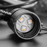 Cafe/Patio Light Bulb Strand with TM1814 RGBW LEDs - 20 Bulbs - Image 4
