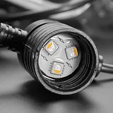 Cafe/Patio Light Bulb Strand with TM1814 RGBW LEDs - 20 Bulbs - Image 4