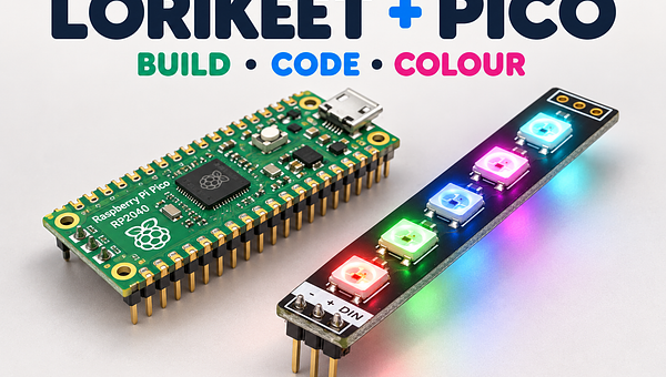 Light the Lorikeet with Raspberry Pi Pico