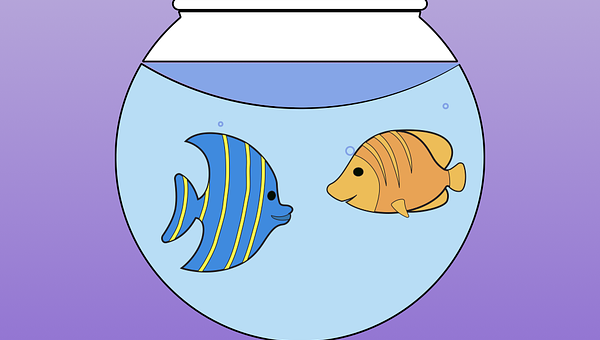 Make a Smart Aquarium