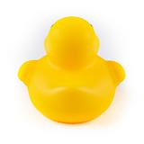 Debugging Duck - Image 3