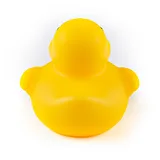 Debugging Duck - Image 3