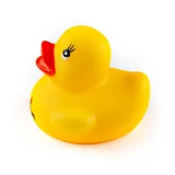 Debugging Duck - Image 4