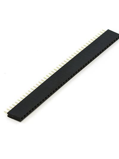 Female Headers