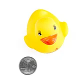 Debugging Duck - Image 6