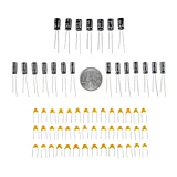 Bag of Capacitors - Image 3
