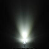 Super Bright LED - White 10mm - 10 pack - Image 2