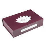 SparkFun Large Parts Box - LilyPad (Magnetic) - Image 1