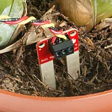 SparkFun Soil Moisture Sensor - Image 5